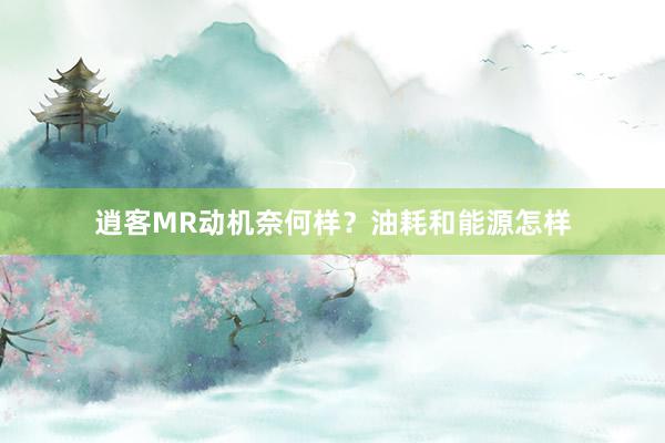 逍客MR动机奈何样？油耗和能源怎样